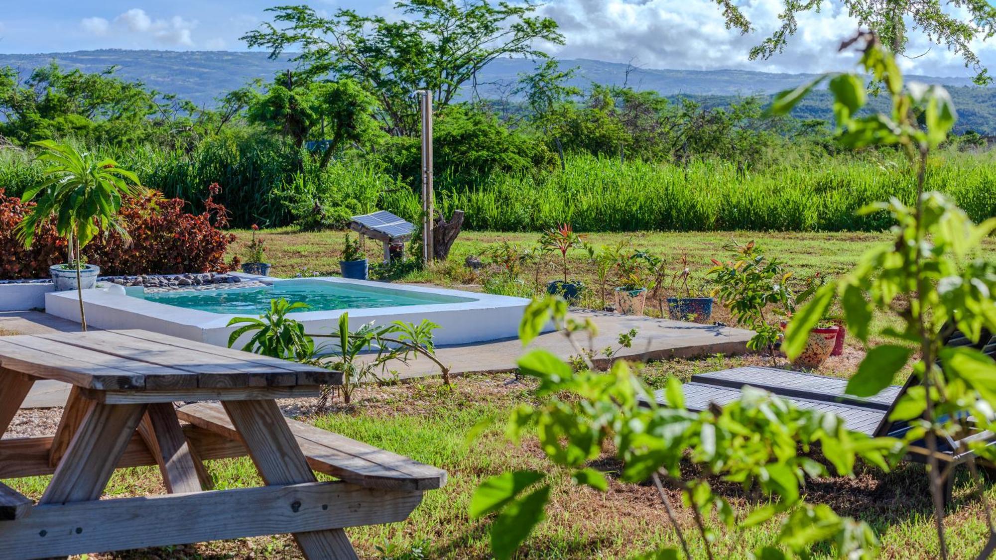 Cashaw Cabin - Private Retreat With A Pool Treasure Beach Eksteriør billede